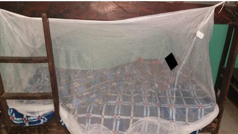 Successful First inclusion of Kalumi study