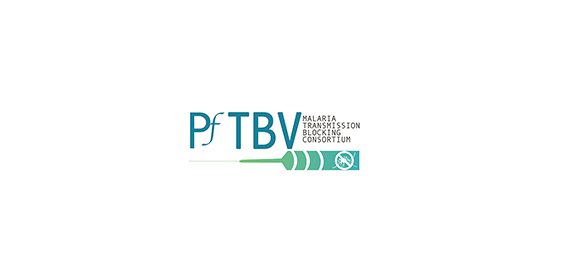 PfTBV-Consortuim